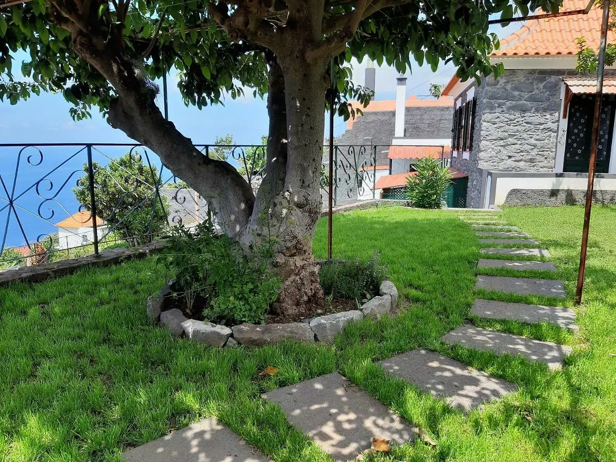 Maison d'hôtes Hotel Casa Velha D Fernando E Casa Avo Augusta à Ribeira Brava